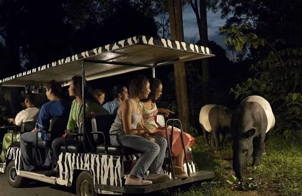 Singapore Night Safari park entrance ticket including tram ride