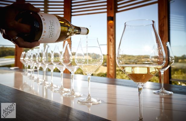 A Gourmet Indulgence at Montalto Winery
