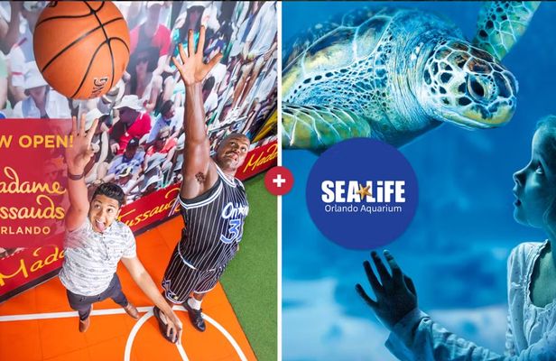 SEA LIFE Orlando Aquarium and Madame Tussauds combo ticket