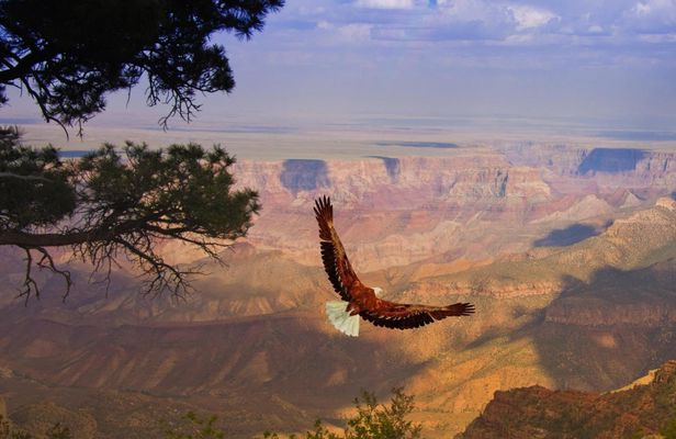 Grand Canyon West Rim with Hoover Dam photo stop