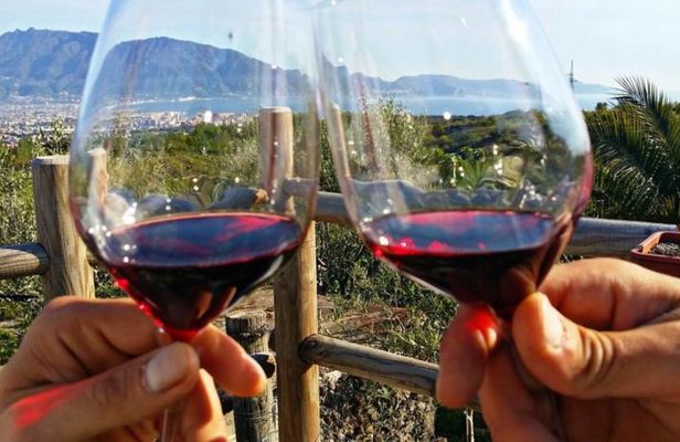 Wine tasting experience on Mount Vesuvius with lunch