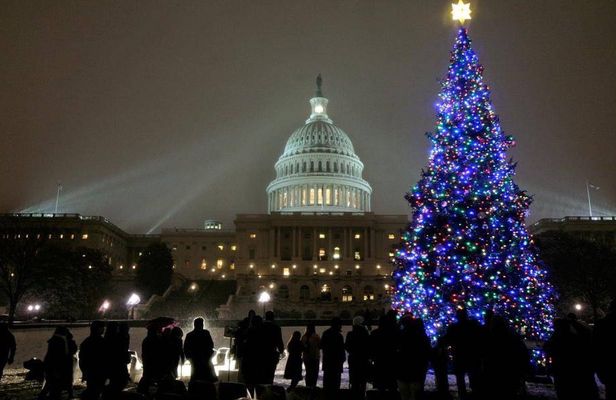 DC holiday lights tour