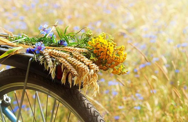 Chianti e-bike tour from San Gimignano with typical lunch and wine tasting