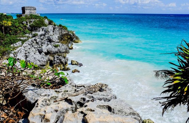 Tulum Discovery Tour from Cancun and Riviera Maya