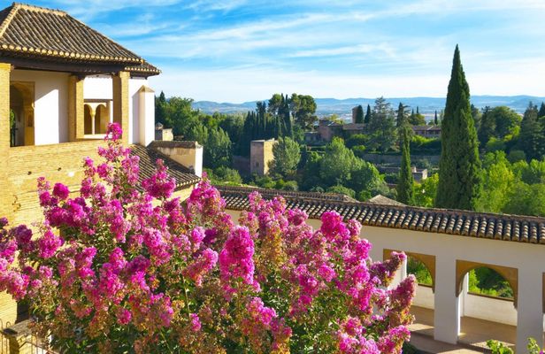 Alhambra morning guided tour with skip-the-line tickets