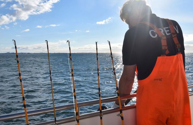 Sea fishing tour from Reykjavik