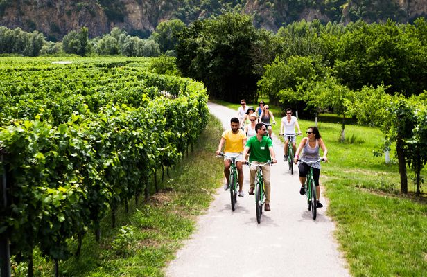 Wachau Winery Bike Tour