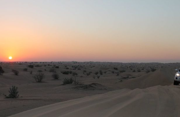 Desert safari and dinner from Abu Dhabi