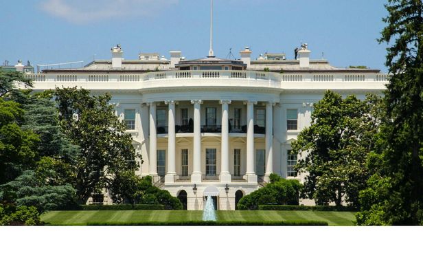 Washington, D.C. day tour from New York City