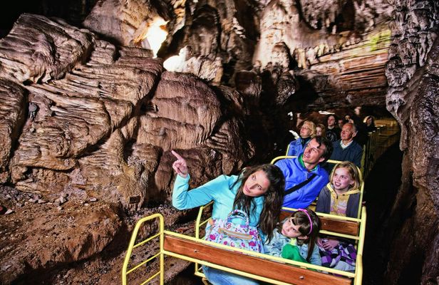 Lake Bled and Postojna Cave full-day tour from Ljubljana