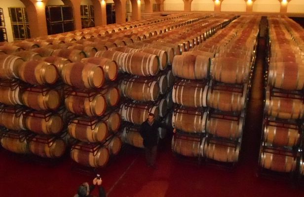 Ávila and Rueda wine tour from Madrid