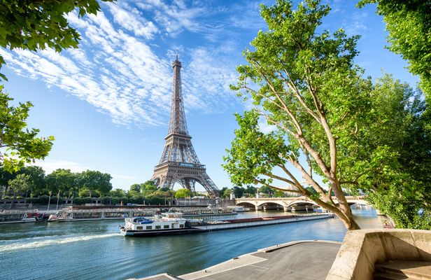 Eiffel Tower direct access ticket and Seine cruise