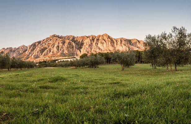 Small group cava and wine tasting day trip from Barcelona