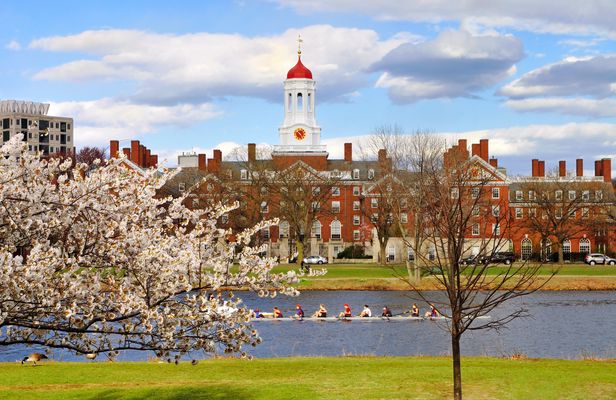 Harvard Square food tour