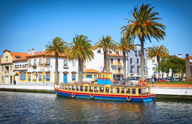 Aveiro and Coimbra small group tour from Porto