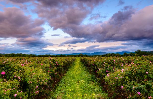 Tour of Karlovo in Bulgaria's Rose Valley