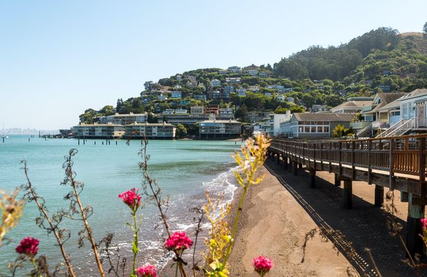 Muir Woods and Sausalito half-day tour