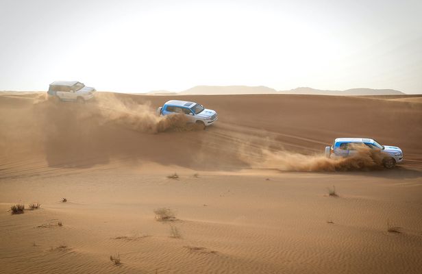 Abu Dhabi morning desert safari with camel ride