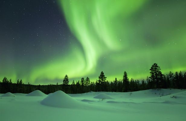 Night of reindeer and northern lights