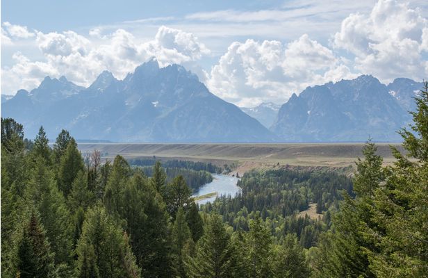 Winter and spring wildlife sunset safari from Jackson Hole