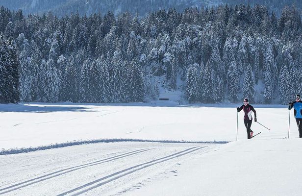 Lapland cross-country ski experience