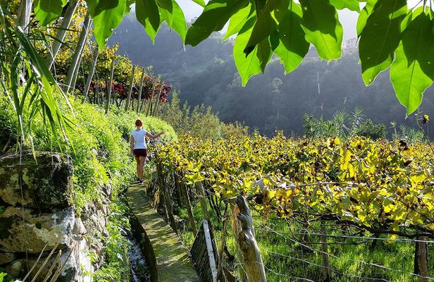 Madeira day-trip wine tour from Funchal