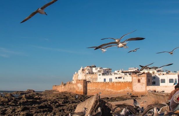 Essaouira day trip with optional guide from Marrakesh