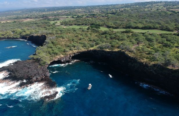 Hawaii whale watching