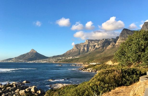 Full-Day best of the Cape, Cape of Good Hope and Stellenbosch Tour