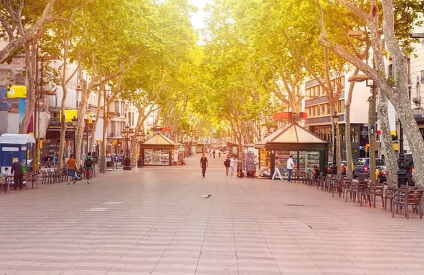 Barcelona gothic quarter private tour with optional visit of the Picasso Museum