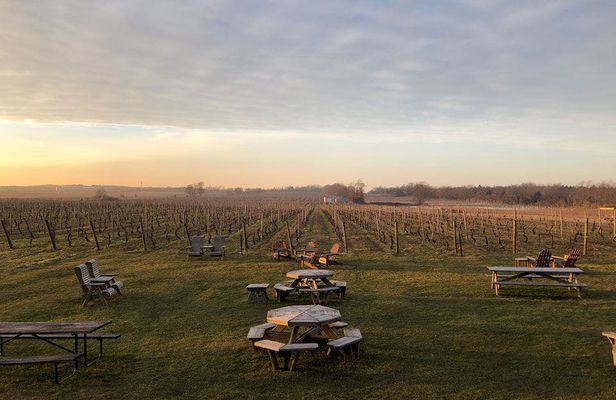 Wine tasting day trip from NYC