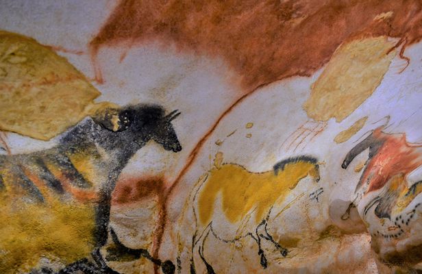 Daily shared tour of the Paleolithic art of Dordogne