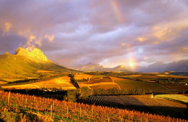 Cape Winelands full-day tour