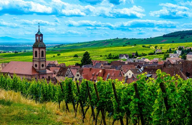 Alsace villages half-day shared tour from Colmar