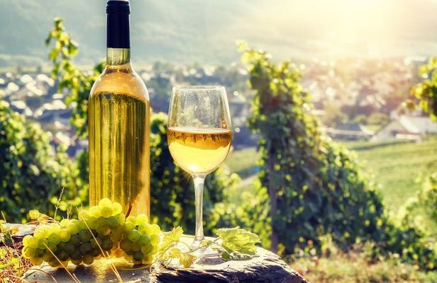 Alsace full-day shared wine tour from Colmar