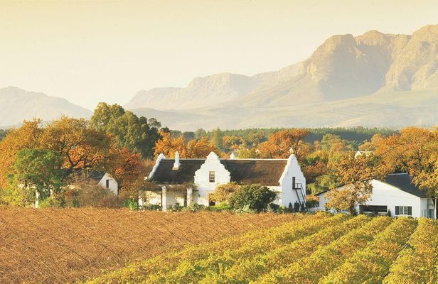 Cape Winelands Half-Day Tour from Cape Town