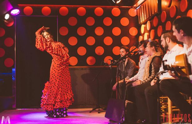 Flamenco show and tapas dinner