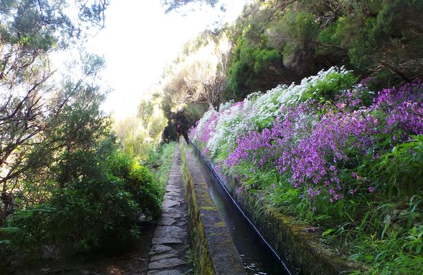 Rabaçal levada walk and open roof 4x4 tour