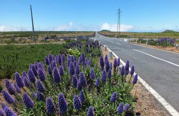 Madeira east or west private half-day jeep tour