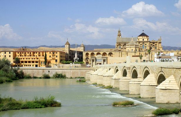 Cordoba full-day tour from Malaga