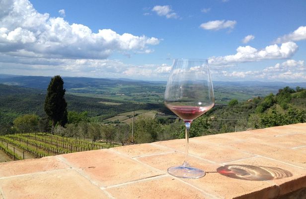 Organic Brunello wine tour with lunch in Montalcino