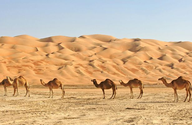 Best of Oman full-day 4WD private tour in Wahiba Sands