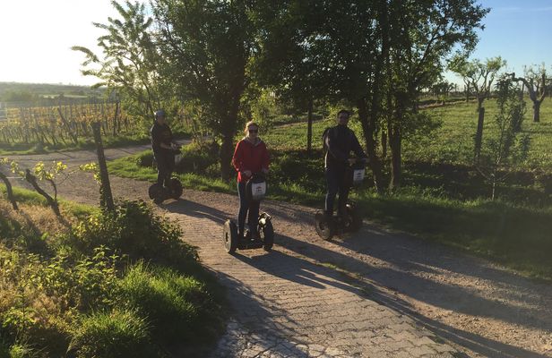 Self-balancing scooter tour in the surroundings of Heidelberg