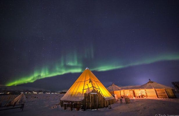 Night reindeer sledding with dinner and northern lights
