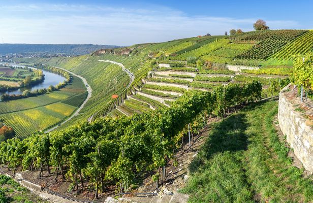 Neckar valley Segway tour