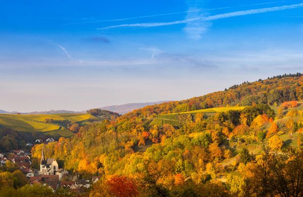 Segway tour to Tromm mountain