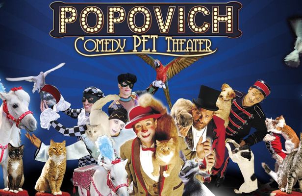 Tickets to Popovich Comedy Pet Theater
