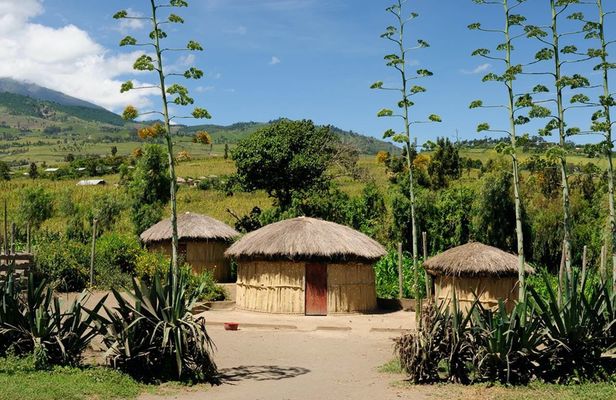 N'Giresi Village tour from Arusha