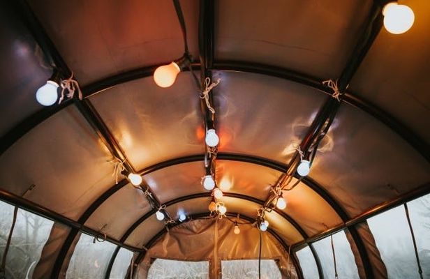 Wintertour mit dem Planwagen