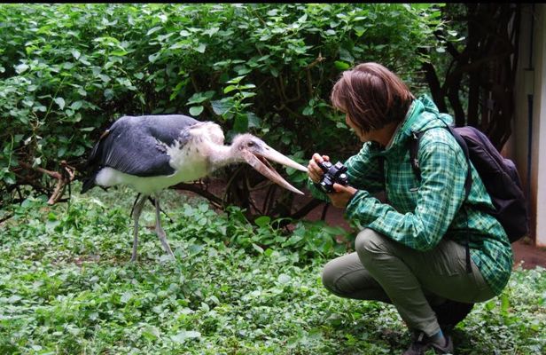 Makoa Farm Wildlife Rehabilitation Centre tour from Kilimanjaro